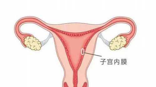 广州最大代生公司,广州合法供卵试管中心：广州哪里可以做供卵试管婴儿?