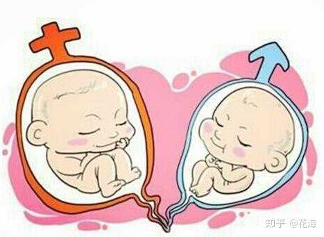 广州做供卵试管被骗的全过程,2023广州供卵试管婴儿费用清单如下：-代怀最好的