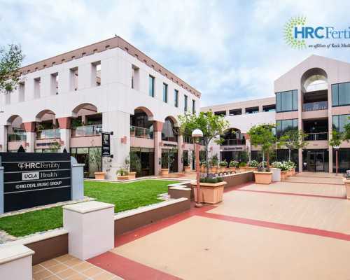 交融与裂变：阐述古代地中海与西亚地区，不同文明间的联动效应