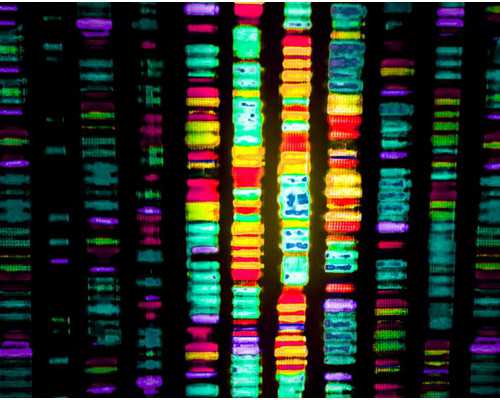 广州供卵代怀生子机构公司,广州怀孕妈妈,广州怀孕妈妈关注平台