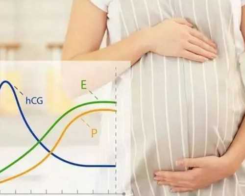 广州供卵试管婴儿中介,广州紫朵朵供卵价格_代怀哪家靠谱