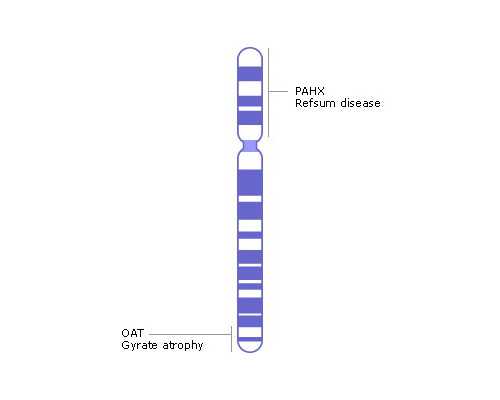 长沙男子39次非法往返澳门赌博，犯偷越国（边）境罪获刑