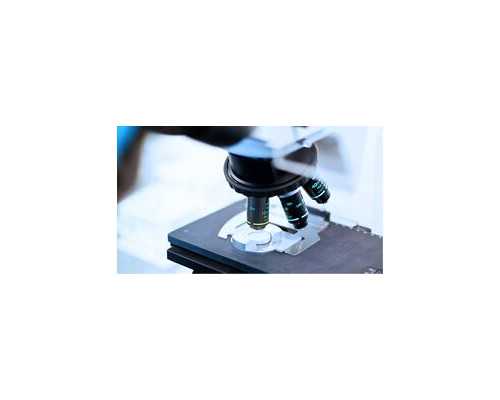 广州哪个供卵不等,选择做试管婴儿吃什么好？_孕妇梦见喝红酒生男生女_试管婴