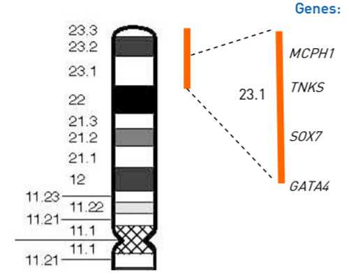 怀孕2周验血HCG值范围是多少？怀孕期间要注意什么？