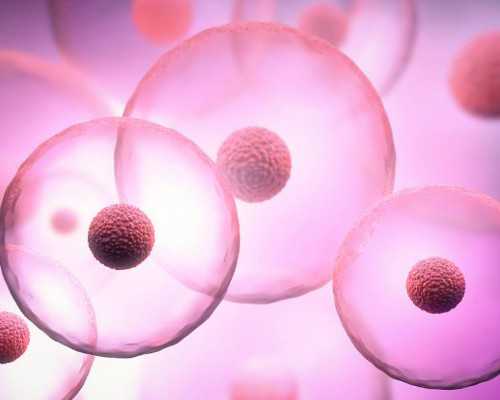 广州康宝试管和广州康诚试管