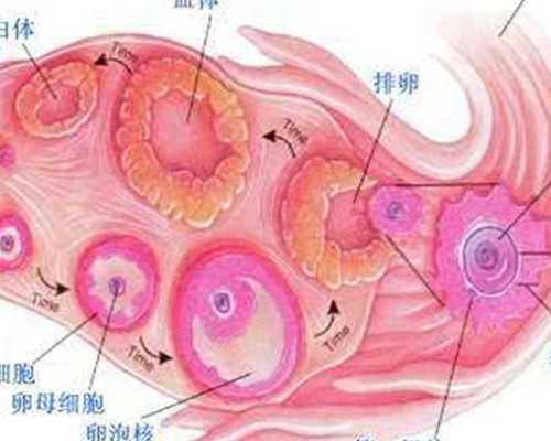 北京戏剧家协会召开六届六次理事会 冯远征当选理事会主席