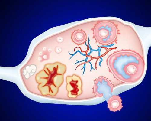 能做供卵试管供卵的助孕机构有哪些？附机构介绍？