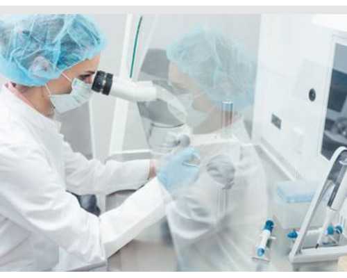 过江路程2小时→2分钟 四川泸州神臂城长江大桥今晚24时通车